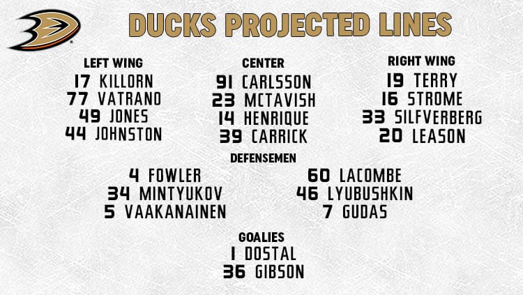 Ducks Lines