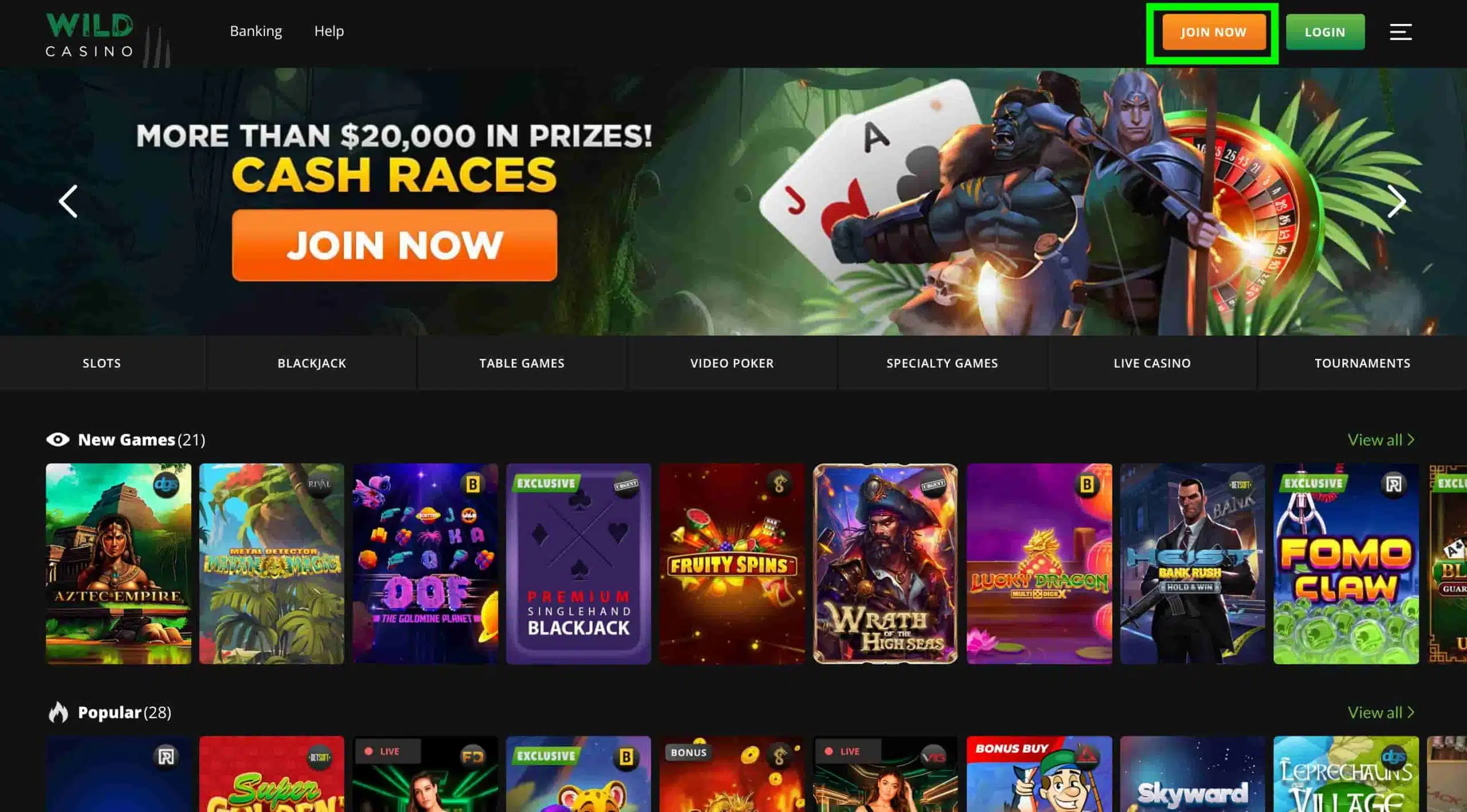 Visit the Wild Casino Website