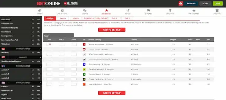 horse racing betting - standard odds