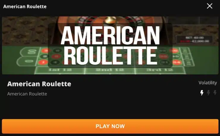 wild casino - american roulette