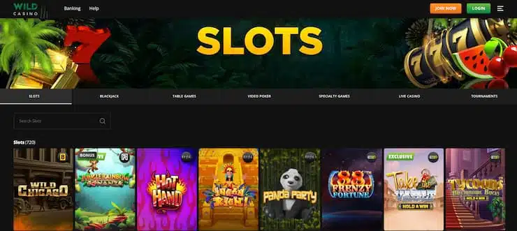 wild casino - online slots main page