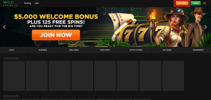 Create a Betting Account with Wild Casino