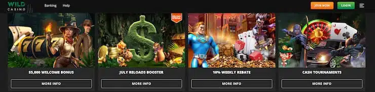 wild casino gambling promotions