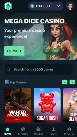 Mega Dice Telegram Casino