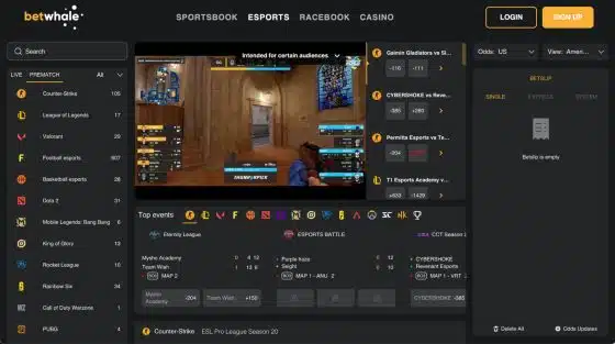 Live counter-strike live streaming on the BetWhale esports betting page